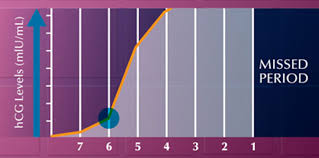 50 proper pregnancy test accuracy chart dpo