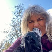 Help with transporting baby blackbird from North Shore to Greenbay