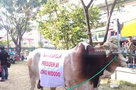 Dari mulai gambar pemandangan, hewan, kartun terbaru, kendaraan. Masjid Agung Palembang Bagikan 1 500 Kupon Qurban Antara News