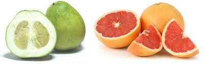 Image result for Citrus maxima