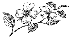 We recommend getting the dogwood flower tattoo if the meaning works for you and you're looking for a big flower. Dogwood Flower Tattoo Designs Elegant Arts Tattoo