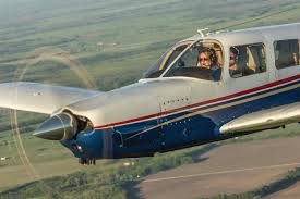 Image result for Piper