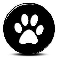 Black Cat Icon 18786 Free Icons And Png Backgrounds Cat Icon Black Cat Dog Pattern