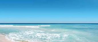 Cirque St. Armands Beachside In Lido Key | Cheap Hotel Deals & Rates On  Cheaptickets.Com