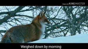 Birthday Suit Cosmo Sheldrake Lyrics Meaning Birthday Suit Cosmo Sheldrake Lyrics Youtube