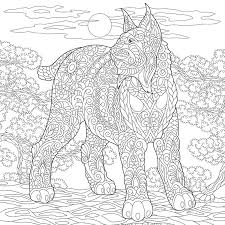 More 100 coloring pages from animal coloring pages category. Bobcat Drawing Stock Illustrations 638 Bobcat Drawing Stock Illustrations Vectors Clipart Dreamstime