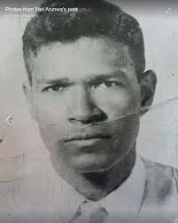 How to find Benjamin roots in Grenada?