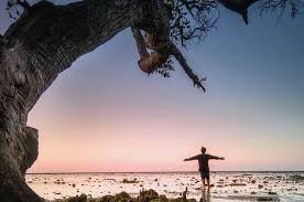 Harga tiket masuk pantai kutang / 10 gambar pantai kutang. Tempat Wisata Di Lamongan Terbaru 2021 Paling Hits