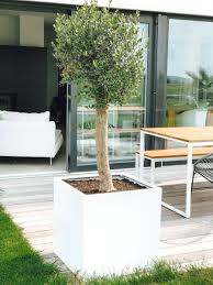 Pflanzkubel Blumenkubel Fiberglas Block Wurfel Weiss Matt In 2020 Terrassenpflanzen Pflanzkubel Terassen Bepflanzung