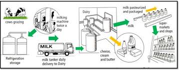 ielts writing task 1 describing a process diagram ielts