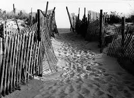 Long beach island bed and breakfast. Long Beach Island Nj 1977 Black White Photograph By Jacqueline M Lewis