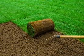 Zoysiagrass, often spelled zoysia grass, originated in japan and was brought to the u.s. 2021 Sod Installation Costs Prices To Lay Sod Per Square Foot