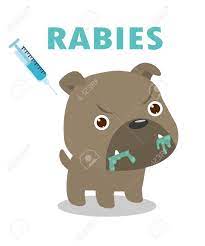 Illustration Of Rabies Disease In Dogs, That Makes Dogs Sick And Mad.take  Vaccinated Rabies Vector. Royalty Free SVG, Cliparts, Vectors, and Stock  Illustration. Image 109504929.