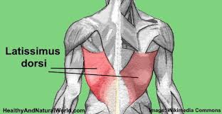 Pin On Health
