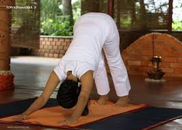 12 Steps Of Surya Namaskar In 2020 Surya Namaskar Yoga Poses Mountain Pose