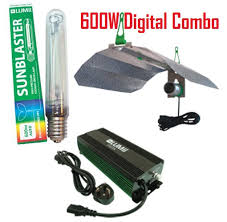 Metal halide (mh) and high pressure the wattage at the wall for a 2000 watt led grow light might only be 500 to 600 watts. 600 Watt Digital Ballast Complete Combo Hydro Herb Africa