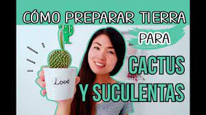 En las tiendas especializadas existen abonos especiales para que los cactus mantengan su salud, en. Como Preparar Tierra Para Cactus Y Suculentas Facil Y Rapido Youtube