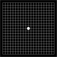 amsler grid wikipedia