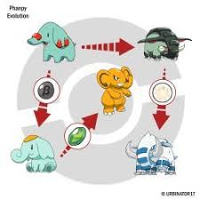 Phanpy Evolution By Urbinator17 Kids Rugs Evolution
