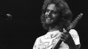 Glenn frey (guitars, vocals), don henley (drums, vocals), bernie leadon (guitars, vocals), and randy meisner (bass guitar, vocals) were the founding members. The Real Reason Don Felder Was Fired From The Eagles