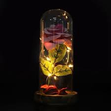 Les nouvelles reprises de la rose dans la belle et la bête sont moins significatives. La Belle Et La Bete Rose Eternelle Enchanted Rose Led Rose Soie Cadeaux Pour Saint Valentin Fete Anniversaire Rose Sec Cdiscount Maison