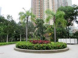 Discover (and save!) your own pins on pinterest. åº·æ¨‚åŠæ–‡åŒ–äº‹å‹™ç½² å¤©æ°´åœå…¬åœ' ä¸»é 