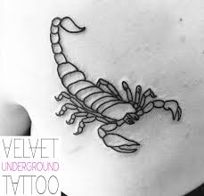 Maybe you would like to learn more about one of these? Minimal Linework Scorpion Tattoo By Emily Brown At Velvet Underground Tattoo Minimal Tattoo Underground Tattoo Small Tattoos