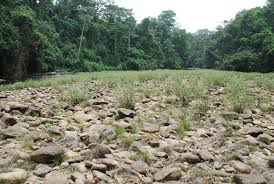 Image result for Kanahia