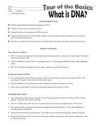 (iii)translates the genetic information into characteristics of an organism ; The Nitrogen Base Pairs In The Dna Molecule Are Adenine And Or Cytosine And