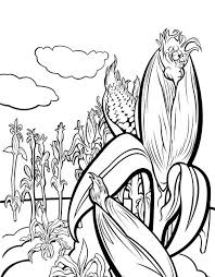 Taxonomical Corn Illustration Jpg 500 640 Coloring Pages Cross Coloring Page Farm Coloring Pages