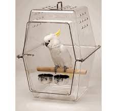 Carrier or homing pigeons are birds that have been bred to find their way home over long distances. Wingabago Bird Carrier