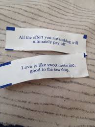 Pin By Kimberly Panzini On True Fortune Cookie Quotes Fortune Quotes Fortune Cookie