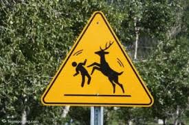 Black And White Striped Road Sign Australia Beware Deer Disco Ahead Headsofstate Pet Signs Crossing Sign Signs