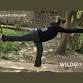 Hatha Yoga | WILDspace Wellness