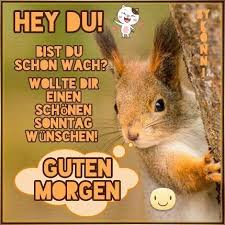 Bild 1/22 schöne und lustige weihnachtsbaum bilder (bild: Pin Alles Sonntagsgrusse Guten Morgen Lustige Guten Morgen Grusse
