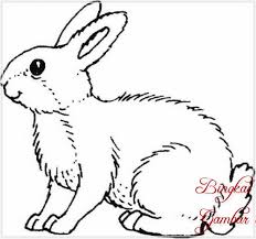 Check spelling or type a new query. 25 Inspirasi Keren Sketsa Gambar Kelinci Berwarna Tea And Lead