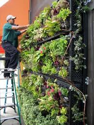 Diy Milk Crate Wall Plant 17 Best Ideas About Milk Crates On Pinterest Diy Ottoman Diy Vertical Vegetable Garden Vegetable Garden Design Pallets Garden
