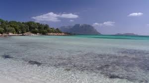 Sakarun beach and veli rat dugi otok. Shutterstock