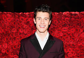 Pop, hip hop, electro pop, letras de canciones, noticias, artistas, mañana maldita, oh my gachi Shawn Mendes Teams Up With Marshmello To Prank The Mmva Crowd Tigerbeat