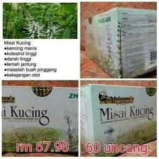 Pokok misai k ucing ialah pokok herba renek yang tumbuh sehingga mencapai ketinggian 1.5 meter. Produk Zhulian Teh Misai Kucing Africana S Apa Facebook