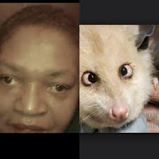 Twins 😂 Bitch dont play me