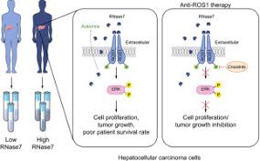 Image result for ROS1 Inhibitor
