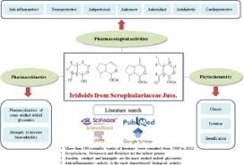 Image result for Jamesbrittenia fodina × huillana