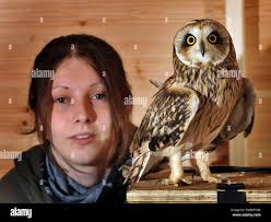 Bird covered in oil hi-res stock photography and images