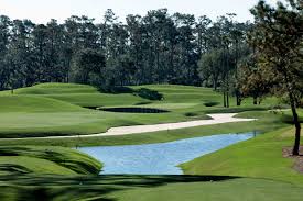 The stadium course, which annually hosts the players championship, is a tough but thrilling test for golfers of all. Hole By Hole Tpc Sawgrass