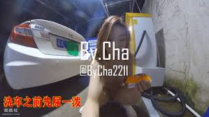 2023-2024年推特大神【查小理】最新作品（磁力） - 国产视频- 司机社