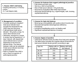 flowchart shows an overview of the management of neonatal