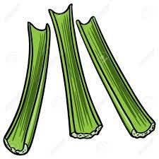 Celery Sticks Royalty Free Svg Cliparts Vectors And Stock Illustration Image 57291451