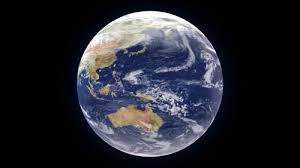 Have you ever wondered which animals are the biggest threat to humans? 500 Best Earth Videos 100 Free Download Pexels Stock Videos