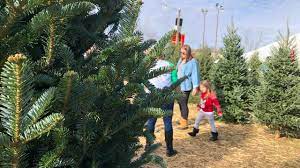 Christmas trees can range from a petite 36 inches to a towering 14 feet. Christmas Tree Shopping A Family Tradition